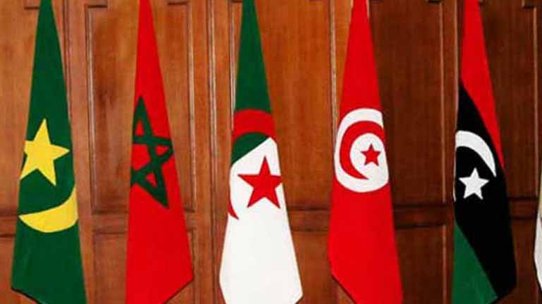 التعددية الحزبية وأثرها على وحدة المغرب العربي